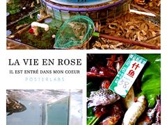 海珊瑚主题餐厅(湛江店)-御唐府海珊瑚主题餐厅