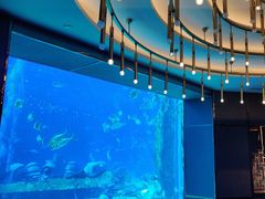 -亚特兰蒂斯•OSSIANO奥西亚诺海底餐厅