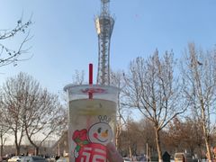 -蜜雪冰城(新世纪商城店)
