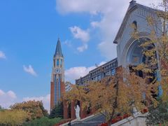 -华东政法大学(松江校区)