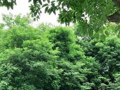 -渣滓洞