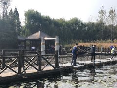 -溱湖国家湿地公园