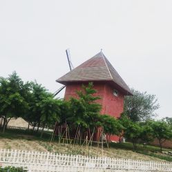 -上美四季动物农场