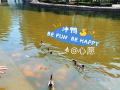 -团结湖公园