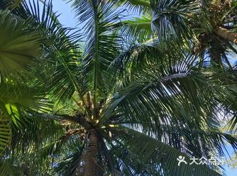 今天的海口28度 这是要入夏了吗