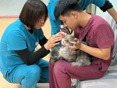 -宠颐生中康贝怡动物医院