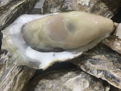 -蚝专家(北滘店)
