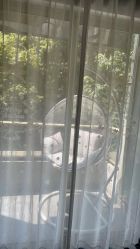 -莲芸拔罐减肥