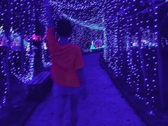 -武汉紫薇都市田园