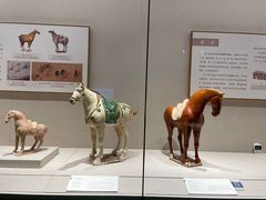 -深圳博物馆(古代艺术馆)