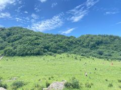 -白草畔自然风景区