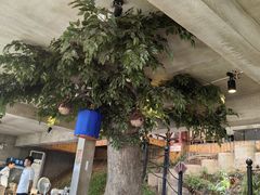 -天怡·鱼工厂(梅溪湖店)