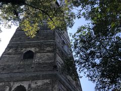 -江心屿景区