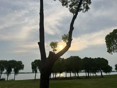 -漕湖湿地公园