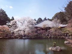 -醍醐寺