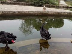 -白马涧龙池景区