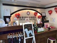 -宠爱国际动物医院·消化内科·心肾内科·ISFM猫友好(望京店)