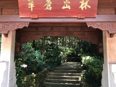 -杭州半山国家森林公园