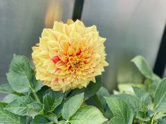 -香山公园