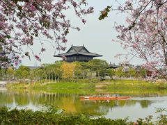 -海珠湖公园