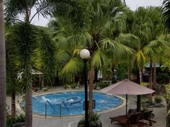 -100蛋泥浆浴