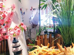 -凯悦·东方公主号 全球海鲜自助餐厅(凯丹广场店)