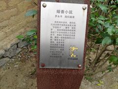 -茂德公草堂