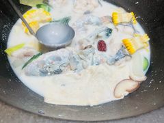 -鲜潭蒸汽石锅鱼(五道口购物中心店)