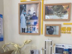 -子乐宠物医院