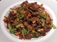 -大鸭梨烤鸭店(花园村店)