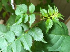 -三峡古玩城(泰古广场店)