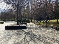 -大望京公园