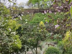 -广州莲花山旅游区