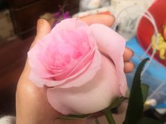 -FEI FEI FLOWER鲜花店·气球派对·宝宝宴布置(虹口德必运动Loft店)