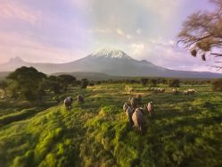 -翱翔飞越地平线