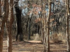 -长春市南湖公园