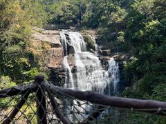 -海南热带雨林国家公园吊罗山景区