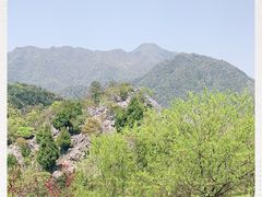 -千岛湖石林