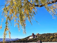-颐和园