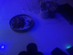 -欢乐迪派对潮K·KTV(华南城店)