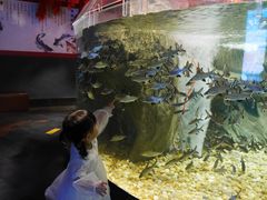 -成都浩海立方海洋公园