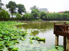 -中国农业博物馆