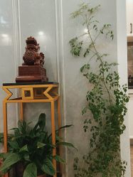 -蕾特恩专业祛痘·皮肤管理