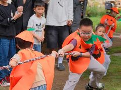 -HERRE·FARM 赫尔露营农场·团建聚会包场