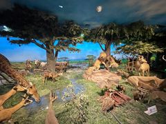 -国家自然博物馆