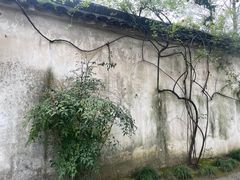 -拙政园