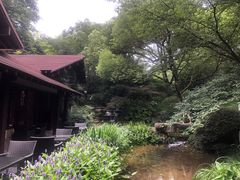 -中国茶叶博物馆(双峰馆区)