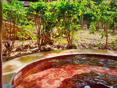 -金穗园温泉酒店