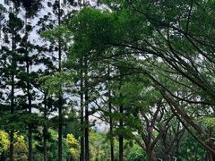 -人民公园(罗湖区)