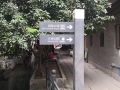 -小洲村